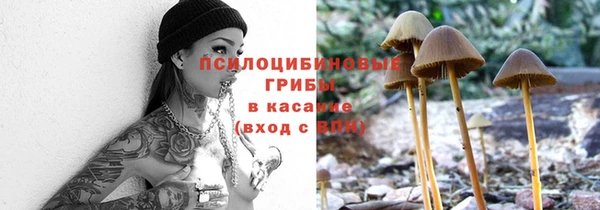 прущий лед Алексин