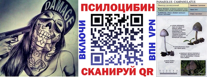 Псилоцибиновые грибы мицелий  Дмитров 