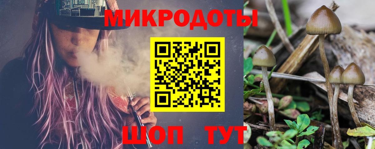 Дмитров  Псилоцибиновые грибы Magic Shrooms  Вход с VPN 