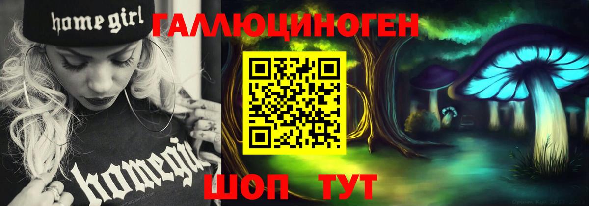 Галлюциногенные грибы Magic Shrooms Дмитров